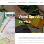 Foothills Gardening Weed Spraying